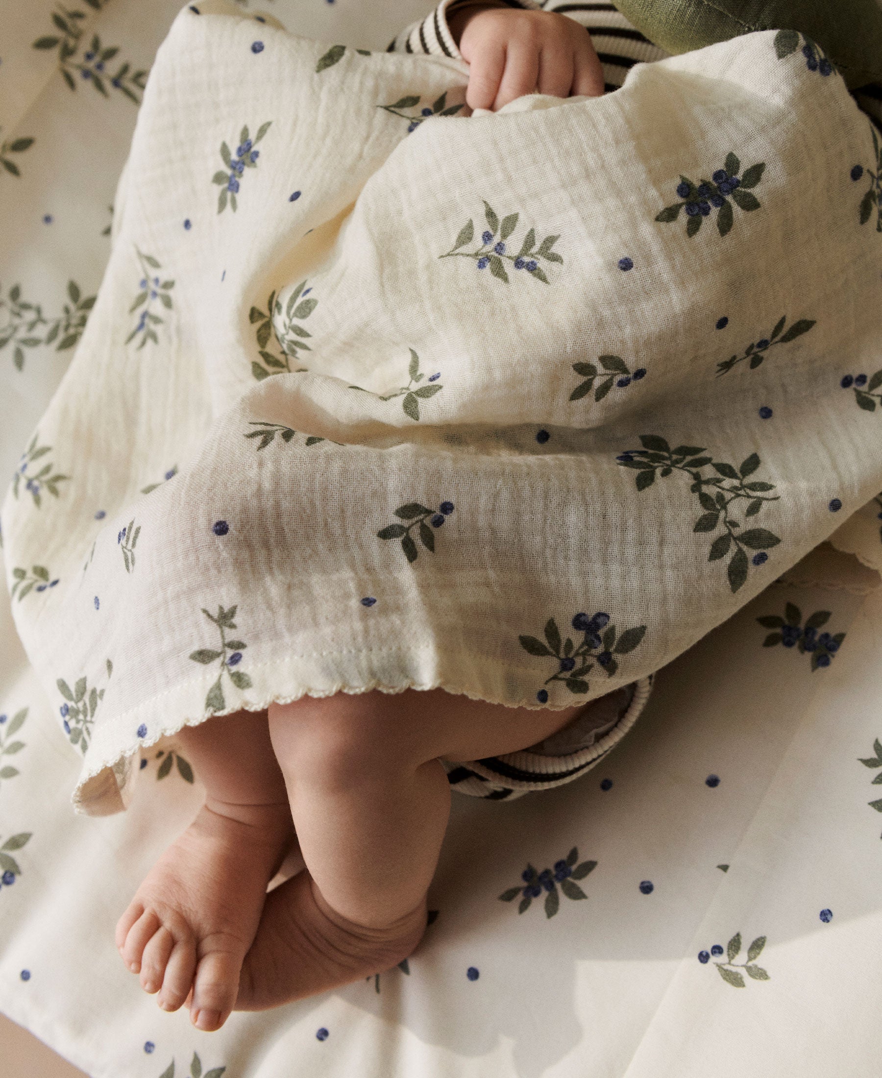 Mio Muslin Cloths, Blueberries